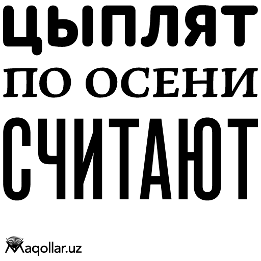 ciplyat po