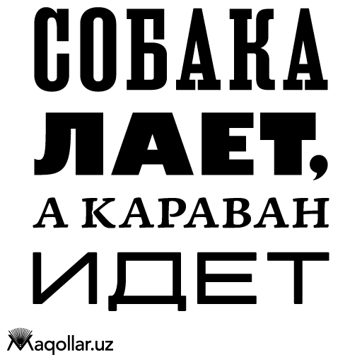 sobaka laet